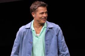 Brad Pitt Suffers a Loss Against Angelina Jolie in Winery Legal Battle — Report