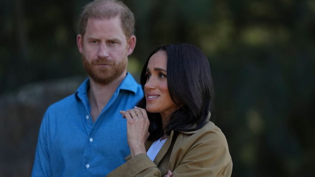 Meghan Markle's 'Dangerous Move' Worries Prince Harry — Source