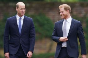 Prince Harry, Prince William
