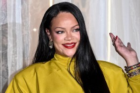 Rihanna Stuns in Sheer Bra Look That Leaves Little to the Imagination