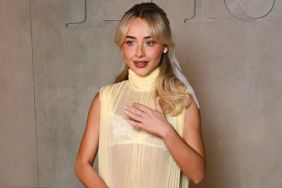 Sabrina Carpenter's Dior Dress Couldn't Possibly Be More See-Through