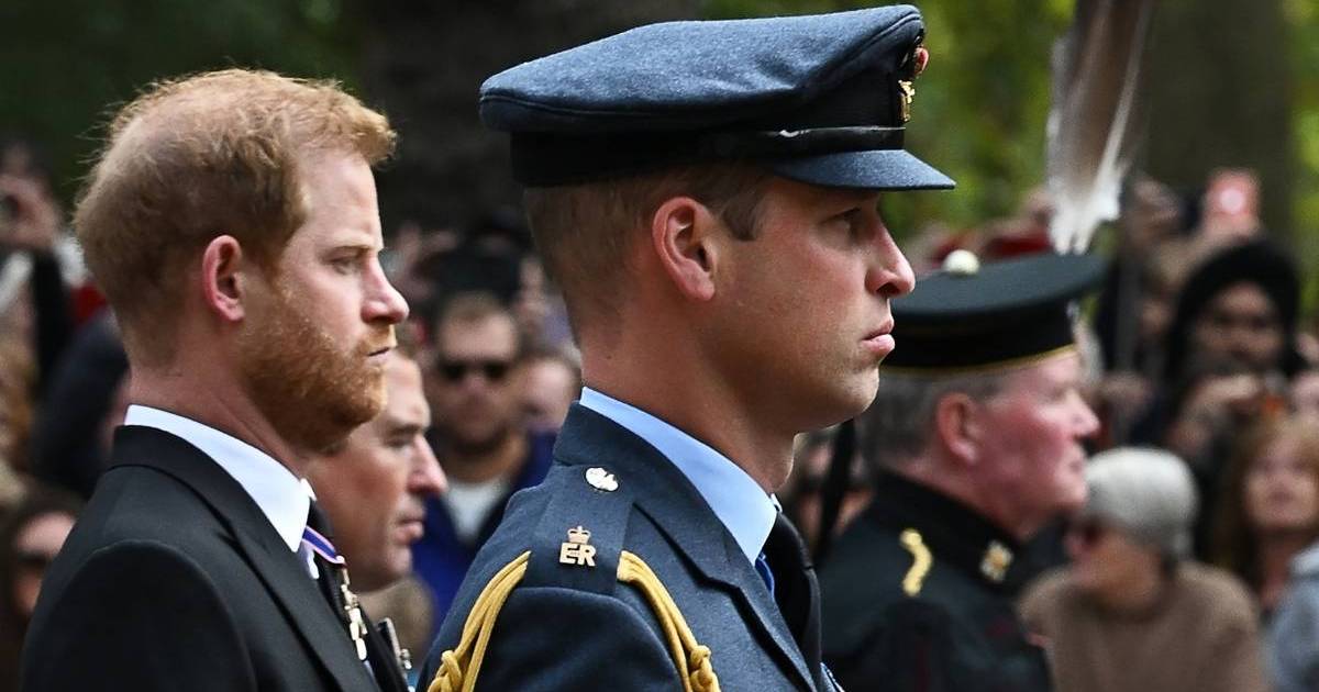 Prince Harry & William’s Rift Was Reportedly Brewing Long&hellip;