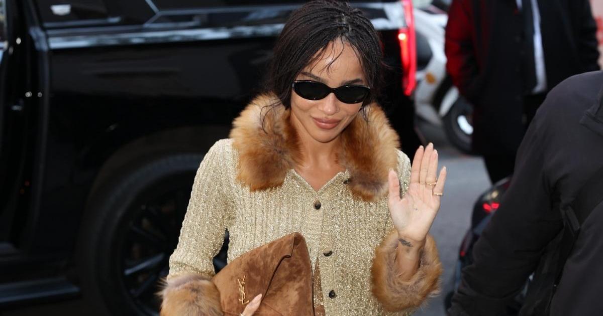 Zoe Kravitz Whips Out See-Through Saint Laurent Skirt for&hellip;