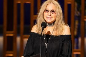 Barbra Streisand Cancels Cannes Appearance Due to Medical Incident