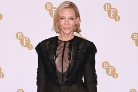 Cate Blanchett's Sheer Maison Margiela Dress Is Basically a Micro Minidress