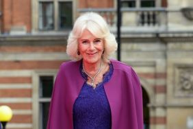 Queen Camilla Gives See-Through Fiona Clare Lace Dress a Dior Upgrade