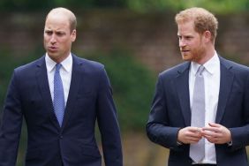 Prince William Warns Prince Harry Against 'Taking Swipes' — Source