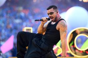 Ricky Martin Abandons Performance Amid Tear Gas Attack
