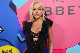 Christina Aguilera Brings Fully Sheer Agent Provocateur Bra to Red Carpet