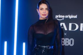 Priyanka Chopra’s Fully See-Through Elie Saab Skirt Gets a Bold Upgrade
