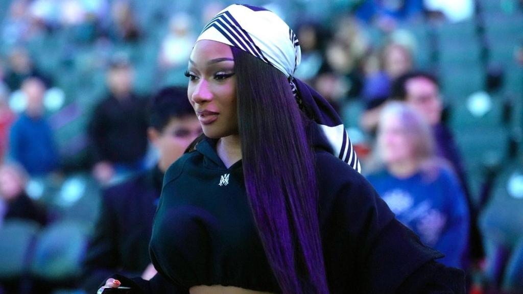 Megan Thee Stallion Gives a Peek of Lacy Bralette Under Blazer