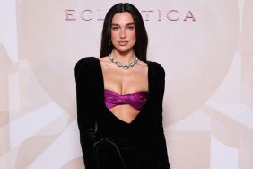 Dua Lipa's Neckline Dips Dangerously Low in Open-Top Look
