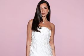 Dua Lipa's Louboutins Elevate Completely See-Through Lace Micro Minidress