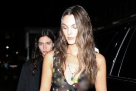 Leonardo DiCaprio’s Girlfriend Goes Braless in a Completely Sheer Dress