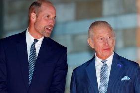 King Charles & Prince William Not on Same Page About Sussexes — Source