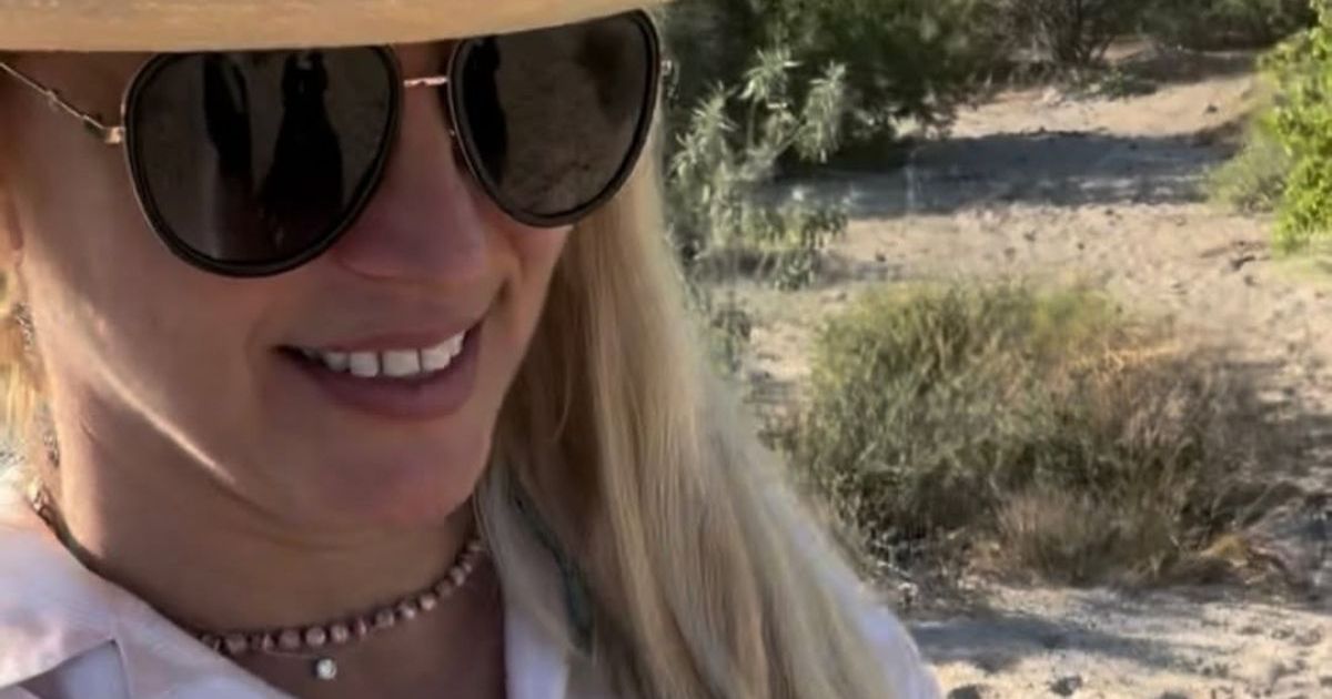 Britney Spears Says She Hopes to Have 'Another Baby'