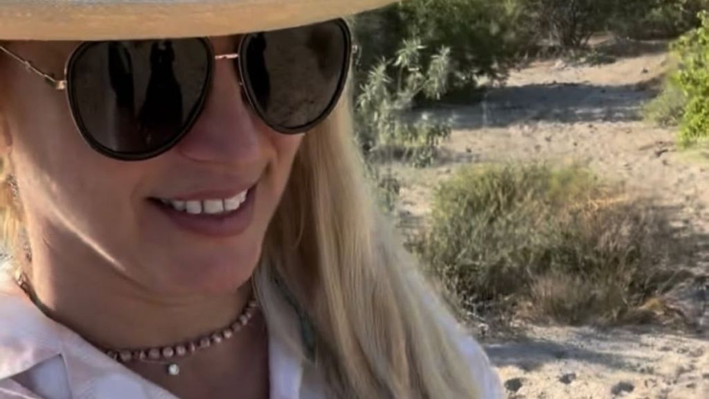 Britney Spears Says She Hopes to Have ‘Another Baby’