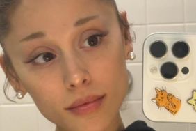 Ariana Grande Makes a Completely Sheer Dress Look More Daring Than Ever