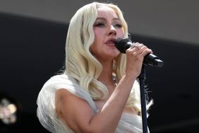 Christina Aguilera’s Sheer Fit Slips Down To Reveal a Backless Cut