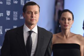Angelina Jolie Seemingly Makes Rare Comment About Brad Pitt Past