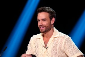 Liam Payne on Netflix