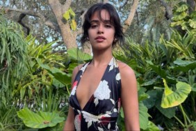 Camila Cabello plunging dress
