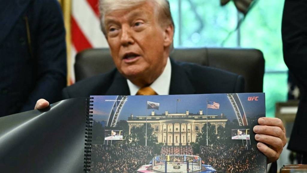 Donald Trump Makes Bizarre Comparison of UFC Cage to Eiffel Tower