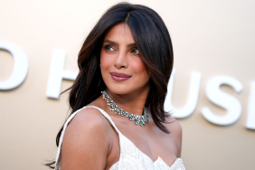 Priyanka Chopra Shows off More Than Just Curves in a Bold Plunging Swimsuit