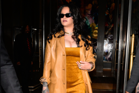 Rihanna Showed Off Her Curves in an Ultra-Plunging Dress