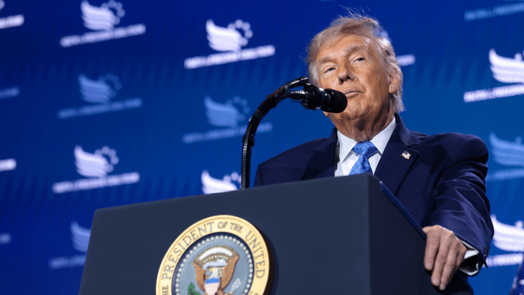 Donald Trump Unveiled a Passport With His Own Portrait & a Strange Warning