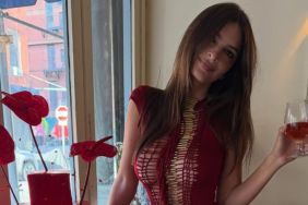 Emily Ratajkowski's Curves Steal Focus in Nearly Sheer Plunging Top