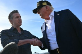 gavin newsom donald trump