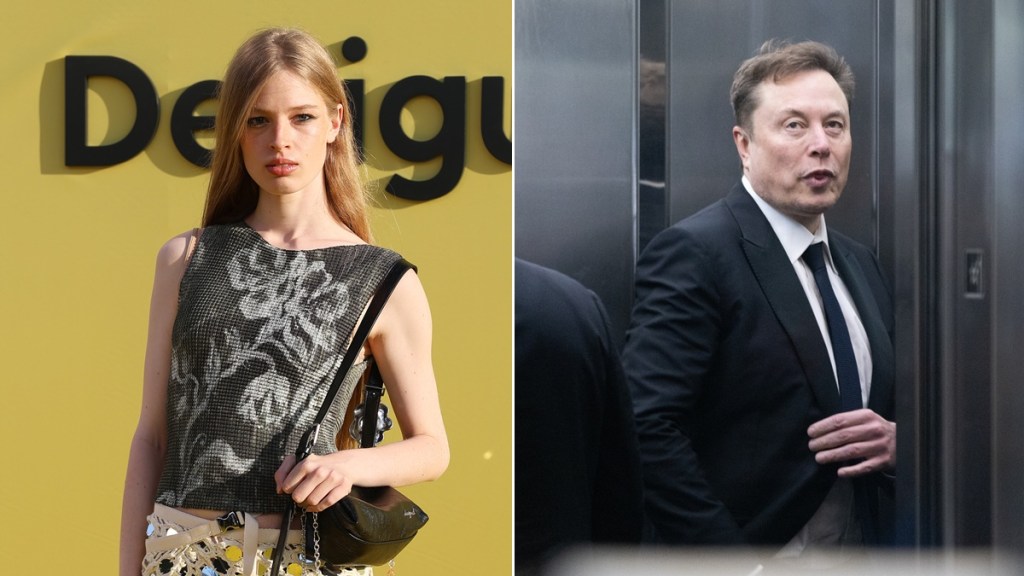 elon musk vivian wilson