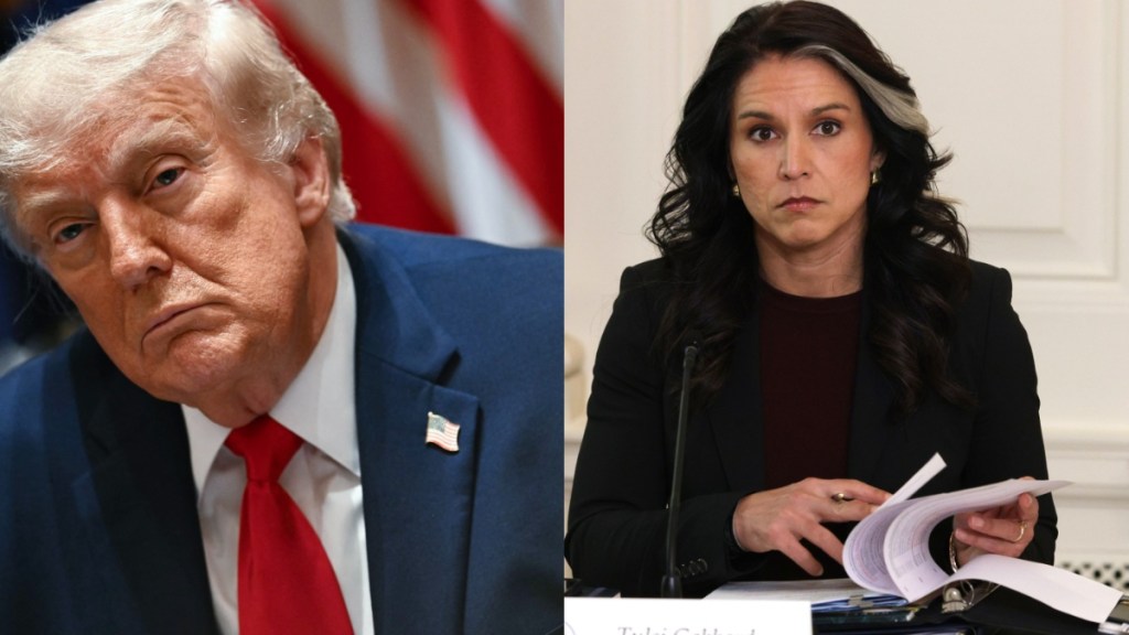 Donald Trump Faces Backlash for Tulsi Gabbard's Replacement Choice