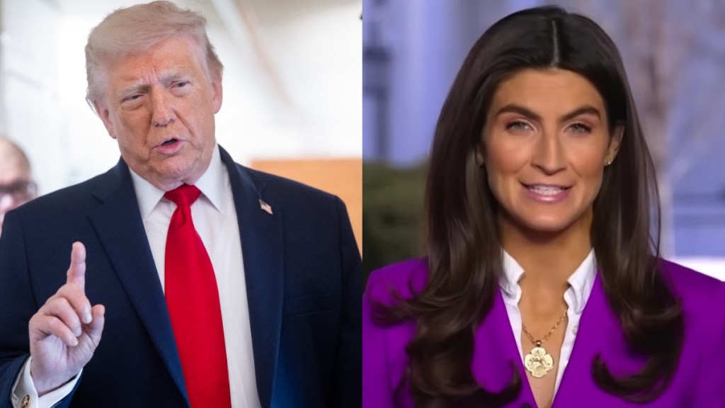 CNN Anchor Reveals Why She Thinks Donald Trump Keeps Picking on Her