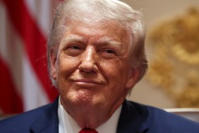 Donald Trump Allies Who Backed Epstein Files’ Release Are Losing Jobs — Report