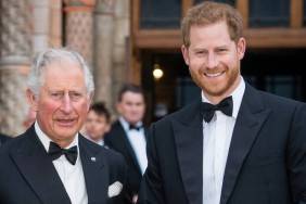 Prince Harry, King Charles