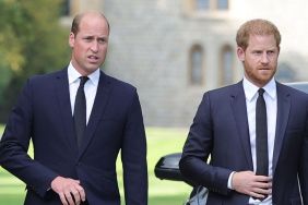 Prince Harry, Prince William
