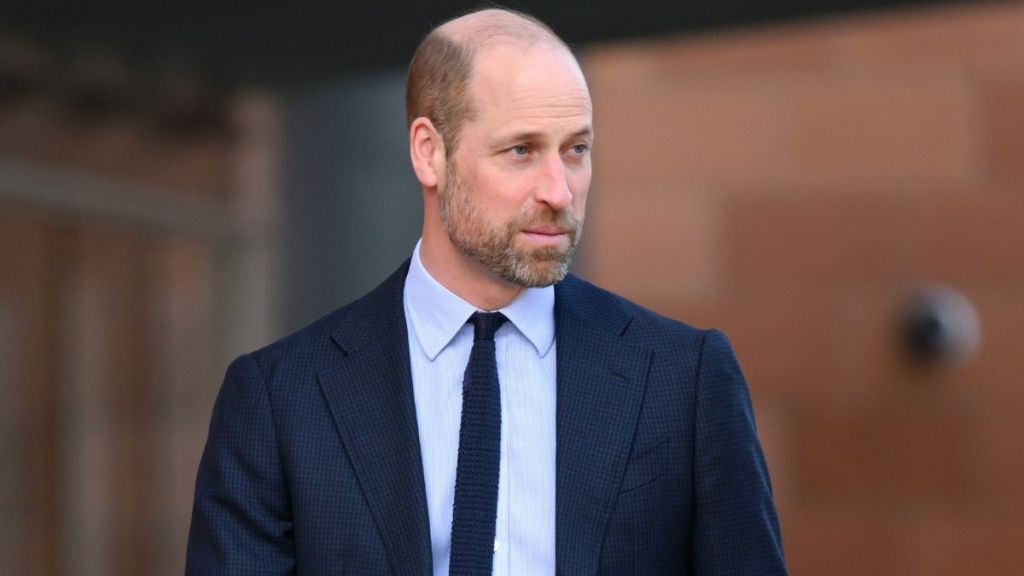 Prince William Uses Disguises to Meet Friends — Source