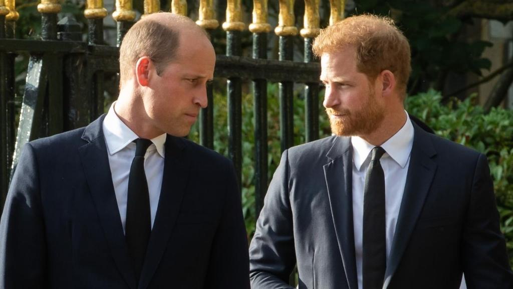 Prince William, Prince Harry