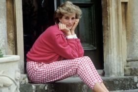 Princess Diana Wanted Another Royal Before King Charles — Book Claims