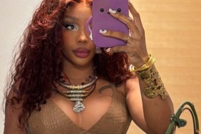SZA's Curve-Clinging Dress Is All About One Daring Neckline