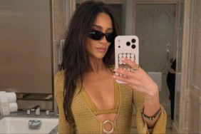 Shay Mitchell bra Instagram sheer outfit