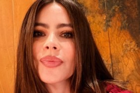 Sofia Vergara’s Plunging Bikini Throwback Leaves Fans Speechless