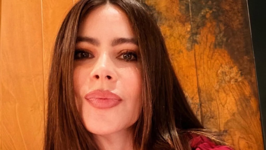 Sofia Vergara’s Plunging Bikini Throwback Leaves Fans Speechless