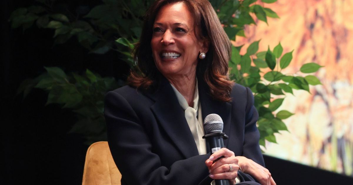 No, the Kamala Harris Running as President in 2028 & AOC as…
