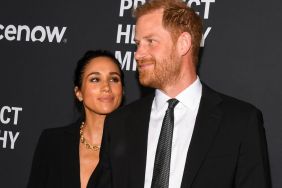 Meghan Markle's Loyalty to Prince Harry Questioned by Expert