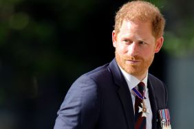 Prince Harry’s Return to Britain Triggers New Fears Inside the Palace — Source