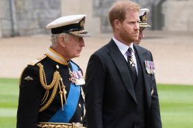 King Charles Is in a ‘Difficult Position’ Because of Prince Harry — Source