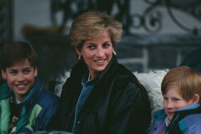 Princess Diana's Wish for Prince William and Prince Harry Revealed in New Letter